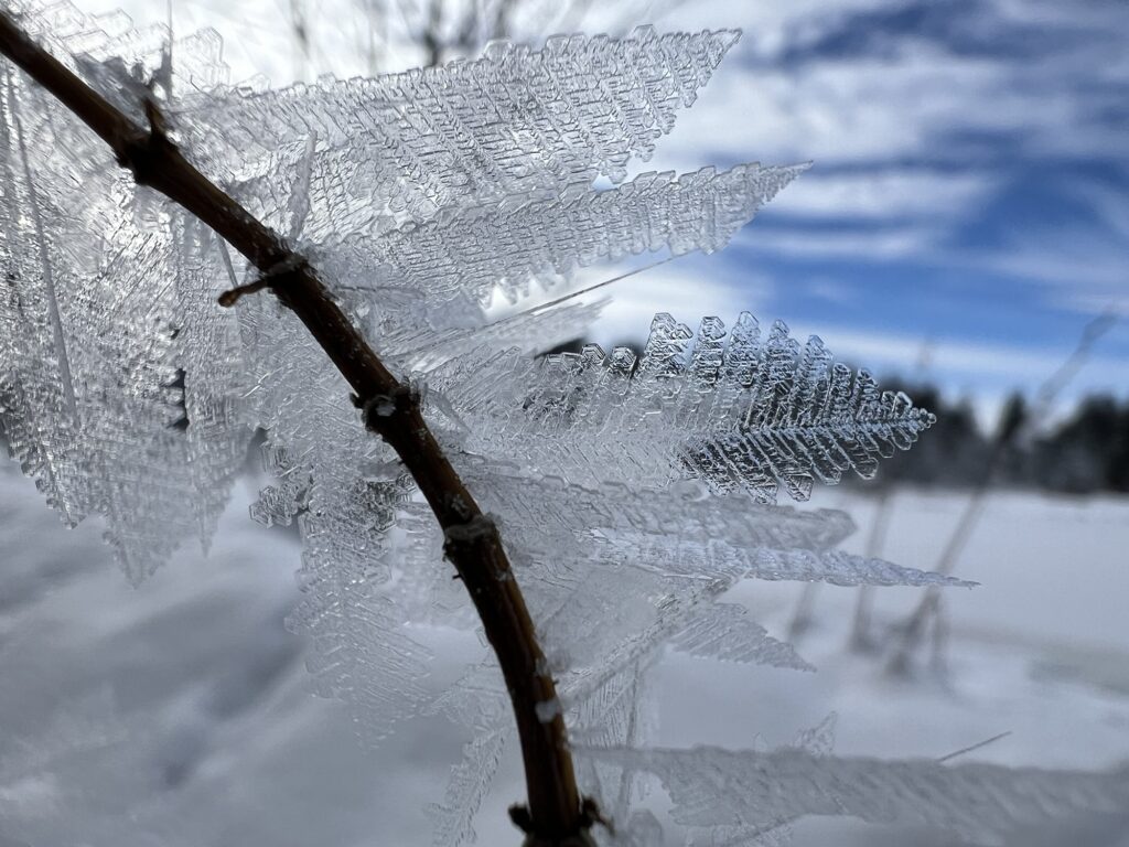 Detailaufnahme von Raureif und Eisstrukturen am Wegesrand – Winterwandern auf Berner Wanderwegen