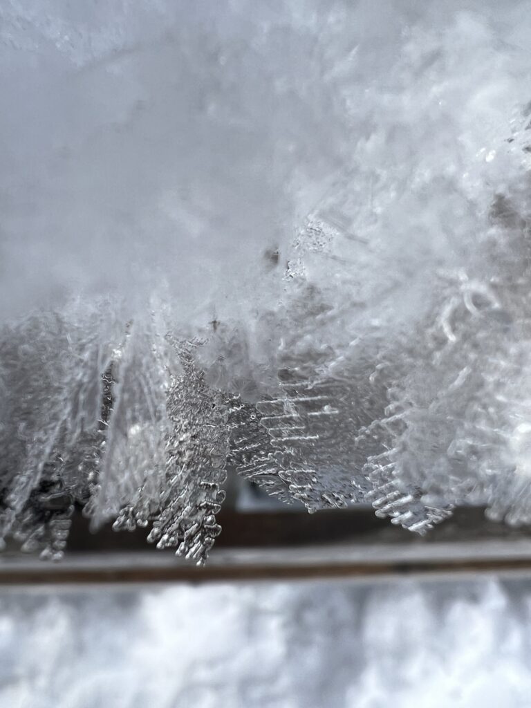 Feine Eisformationen entlang eines Winterwanderwegs in Bern – Naturdetails beim Wandern in der Schweiz