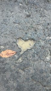 Eine kleine Pfütze in Herzform auf matschigem Boden – selbst im Regen findet sich ein Zeichen der Liebe.