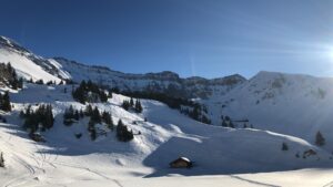 Verschneiter Waldabschnitt entlang des Winterwanderwegs auf der Elsigenalp