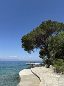 Küstenweg auf der Insel Krk mit Pinien, klarem Wasser und Blick auf das offene Meer an einem warmen Sommertag.