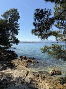 Felsige Küste auf der Insel Krk mit glasklarem Wasser, schattigen Pinien und ruhiger Badebucht.