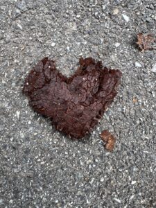 Ein dunkles, herzförmiges Blatt liegt auf grauem Asphalt und erinnert daran, dass Liebe auch im Vergänglichen sichtbar wird.