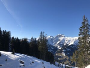 Winterwanderung Elsigen-Metsch mit verschneiter Ebene und Bergpanorama unter blauem Himmel
