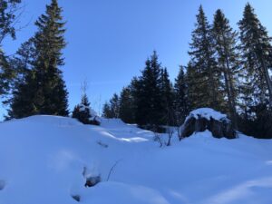 Winterliche Berglandschaft auf der Elsigen-Metsch mit Gondelgebiet im Hintergrund