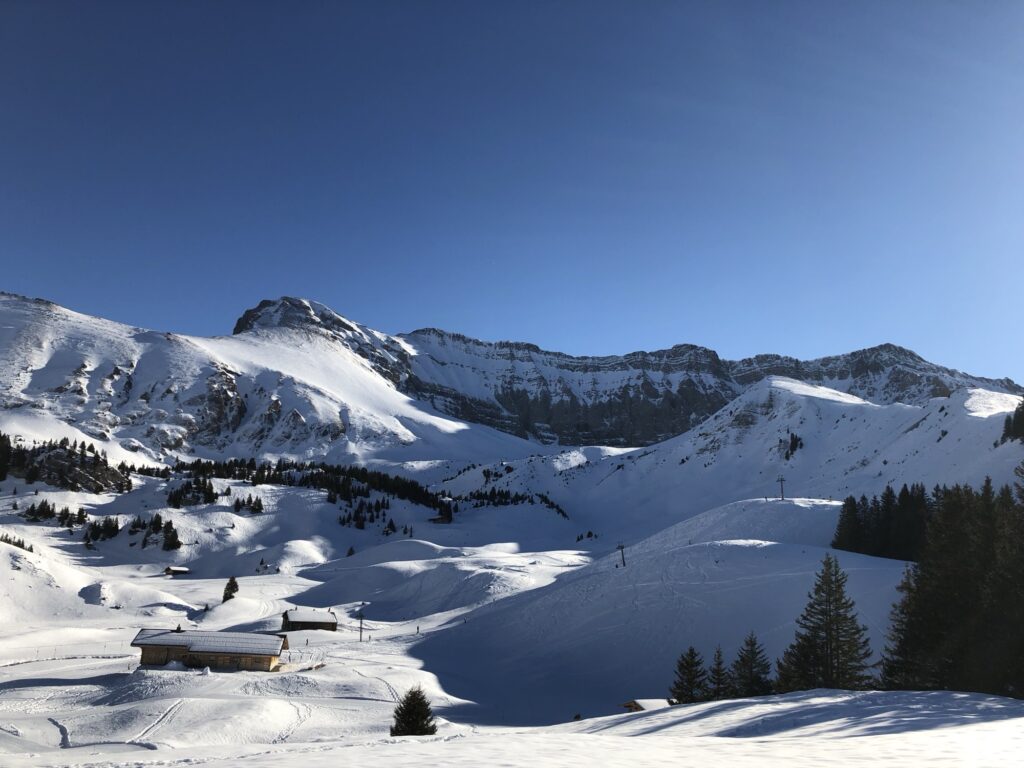 Sonnige Winterwanderung auf der Elsigen-Metsch mit verschneiten Hügeln und Berner Alpen