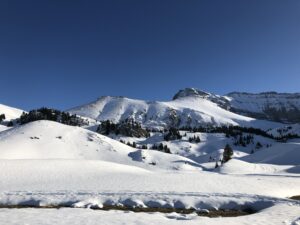 Winterwanderung auf der Elsigen-Metsch mit verschneiter Hochebene und Panorama der Berner Alpen im Sonnenschein