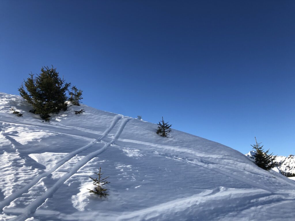 Spuren im Schnee auf der Elsigen-Metsch bei sonniger Winterwanderung