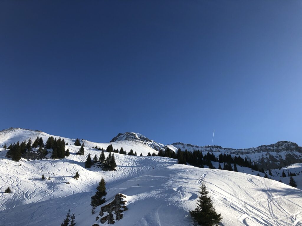 Verschneite Hänge auf der Elsigen-Metsch mit Berggipfeln im Hintergrund im Winter