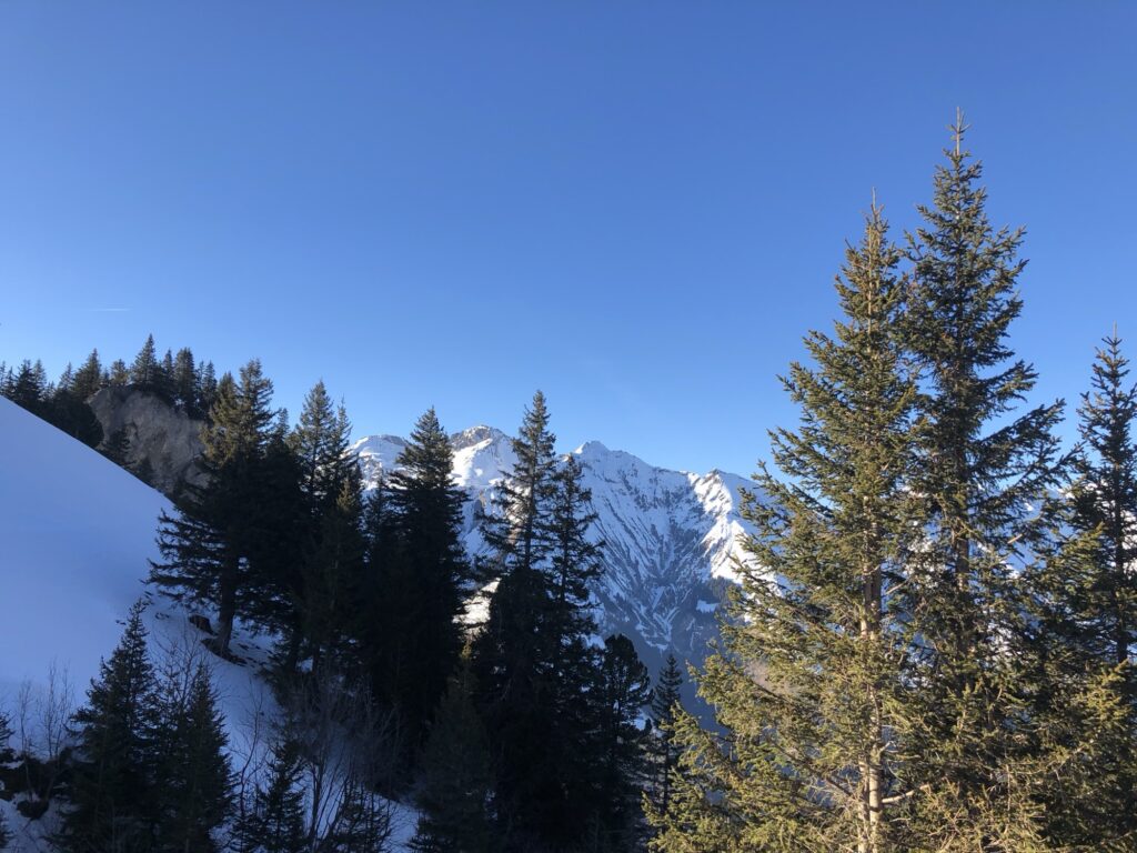 Panoramablick über das Tal von der Elsigen-Metsch im Winter