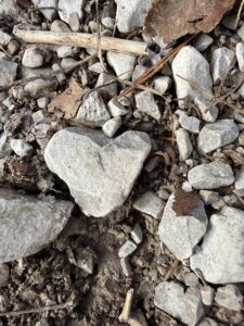Ein herzförmiger Stein liegt zwischen Kieseln und Blättern – gefunden am Wegesrand, wie ein kleiner Liebesgruss der Natur.
