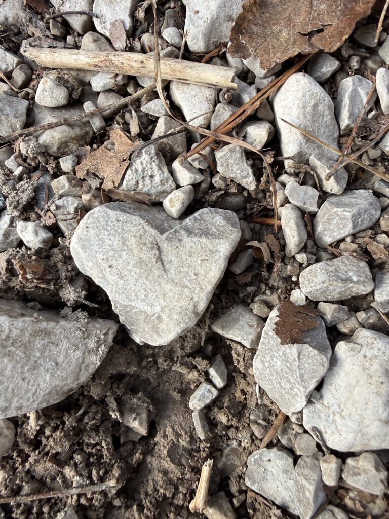 Ein herzförmiger Stein liegt zwischen Kieseln und Blättern – gefunden am Wegesrand, wie ein kleiner Liebesgruss der Natur.