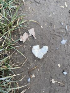 Ein hellgrauer, herzförmiger Stein liegt im Sand zwischen Gras und trockenen Blättern – gefundenes Glück im Vorübergehen.