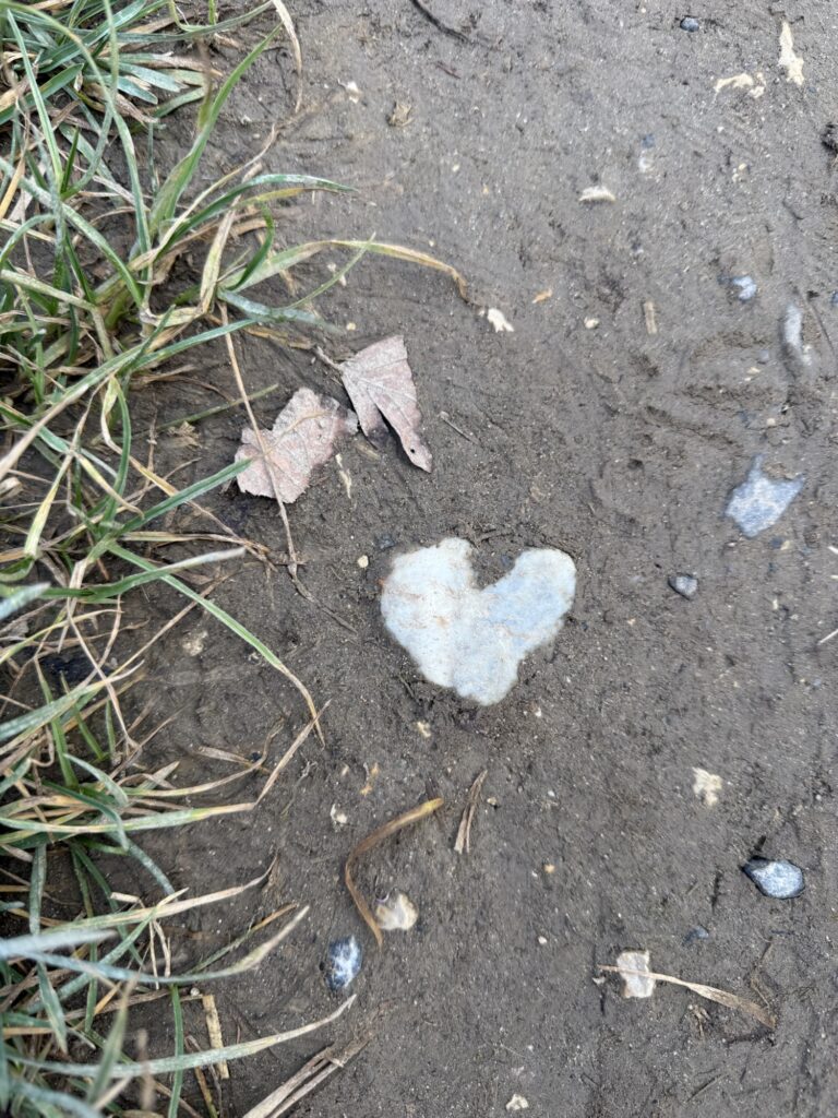 Ein hellgrauer, herzförmiger Stein liegt im Sand zwischen Gras und trockenen Blättern – gefundenes Glück im Vorübergehen.