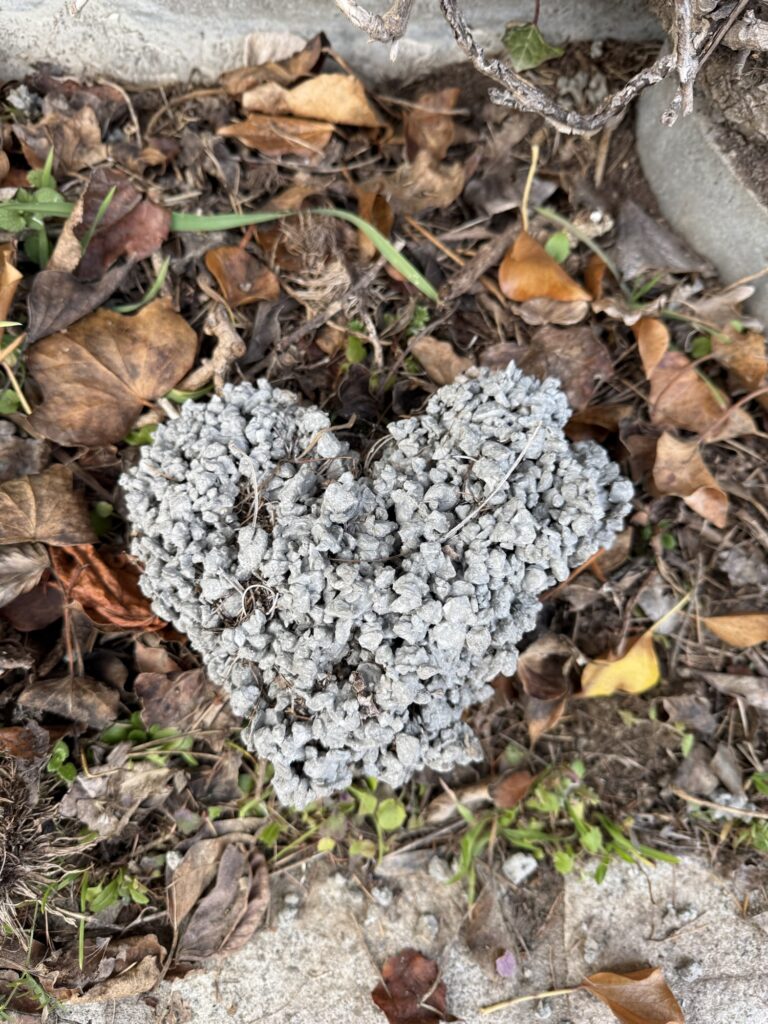 Kleine graue Steinchen formen ein Herz zwischen Herbstblättern – Liebe, versteckt am Wegesrand.