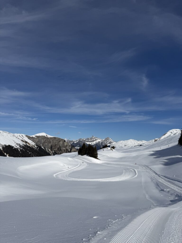Winterlandschaft am Betelberg bei der Lenk mit geschwungenem Winterwanderweg durch die verschneite Hochebene.