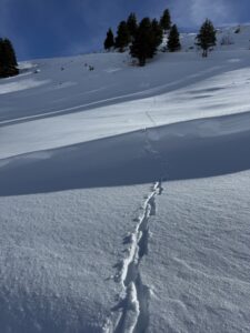 Spuren im unberührten Schnee während der Winterwanderung an der Lenk im Berner Oberland.