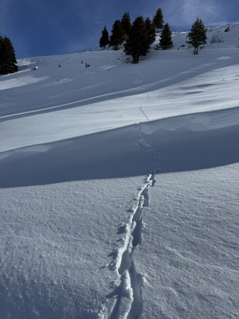 Spuren im unberührten Schnee während der Winterwanderung an der Lenk im Berner Oberland.