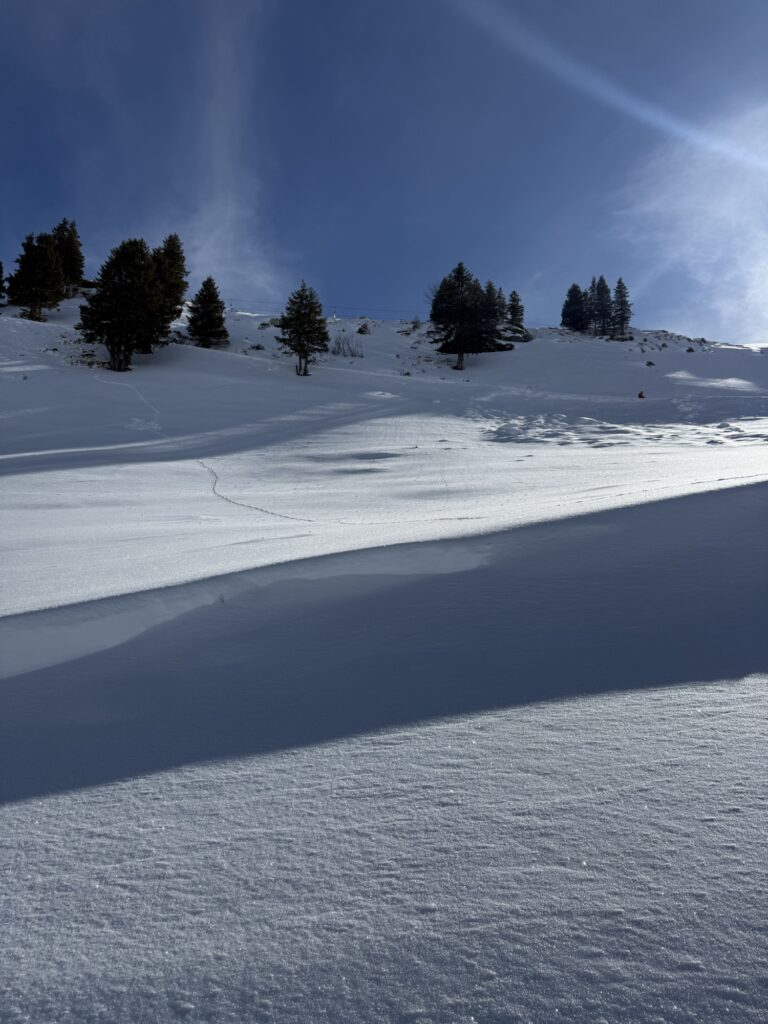 Weite Schneeflächen am Betelberg oberhalb der Lenk mit sanften Hügeln und vereinzelten Bäumen im Winter.