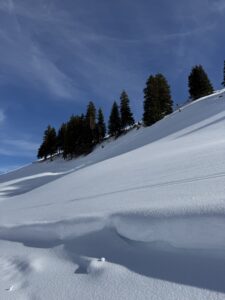 Schneebedeckter Hang mit Tannen am Betelberg oberhalb der Lenk im klaren Winterlicht.