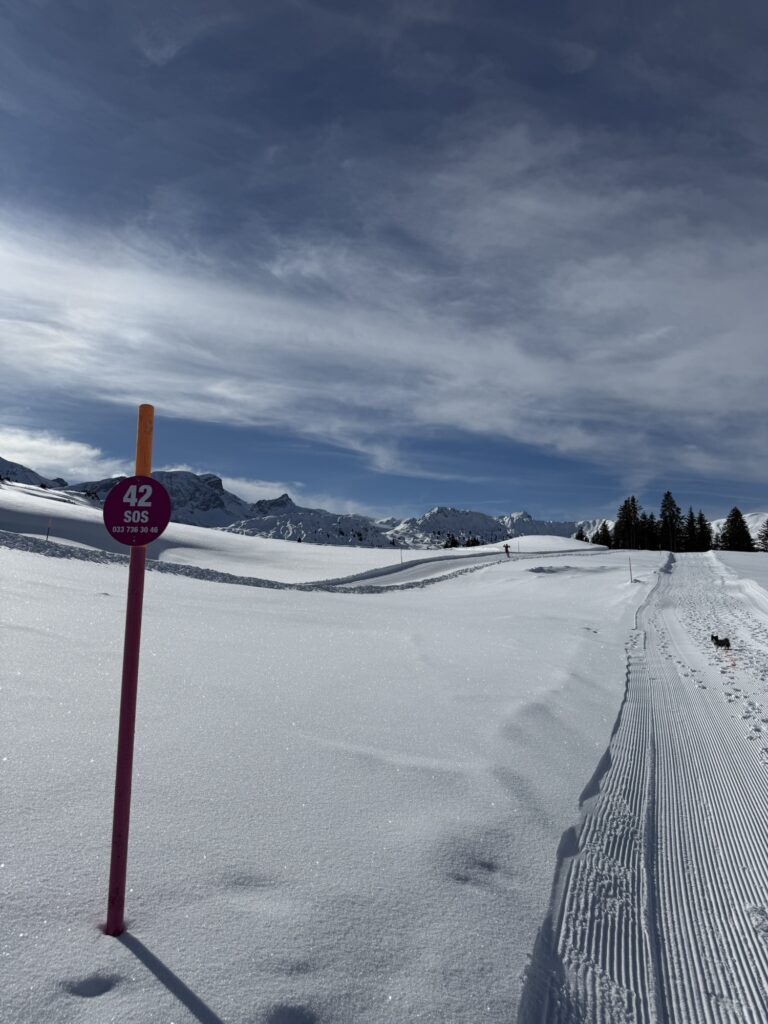 Winterwanderweg mit SOS-Markierung am Betelberg bei der Lenk im Berner Oberland.