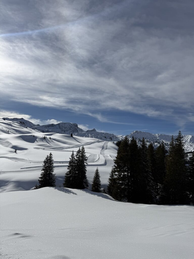 Verschneite Berglandschaft im Berner Oberland nahe Lenk mit Blick über das winterliche Tal.