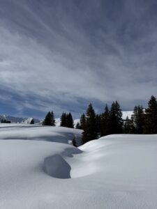 Winterlandschaft am Betelberg bei der Lenk mit verschneiten Hügeln und Tannen im Berner Oberland.