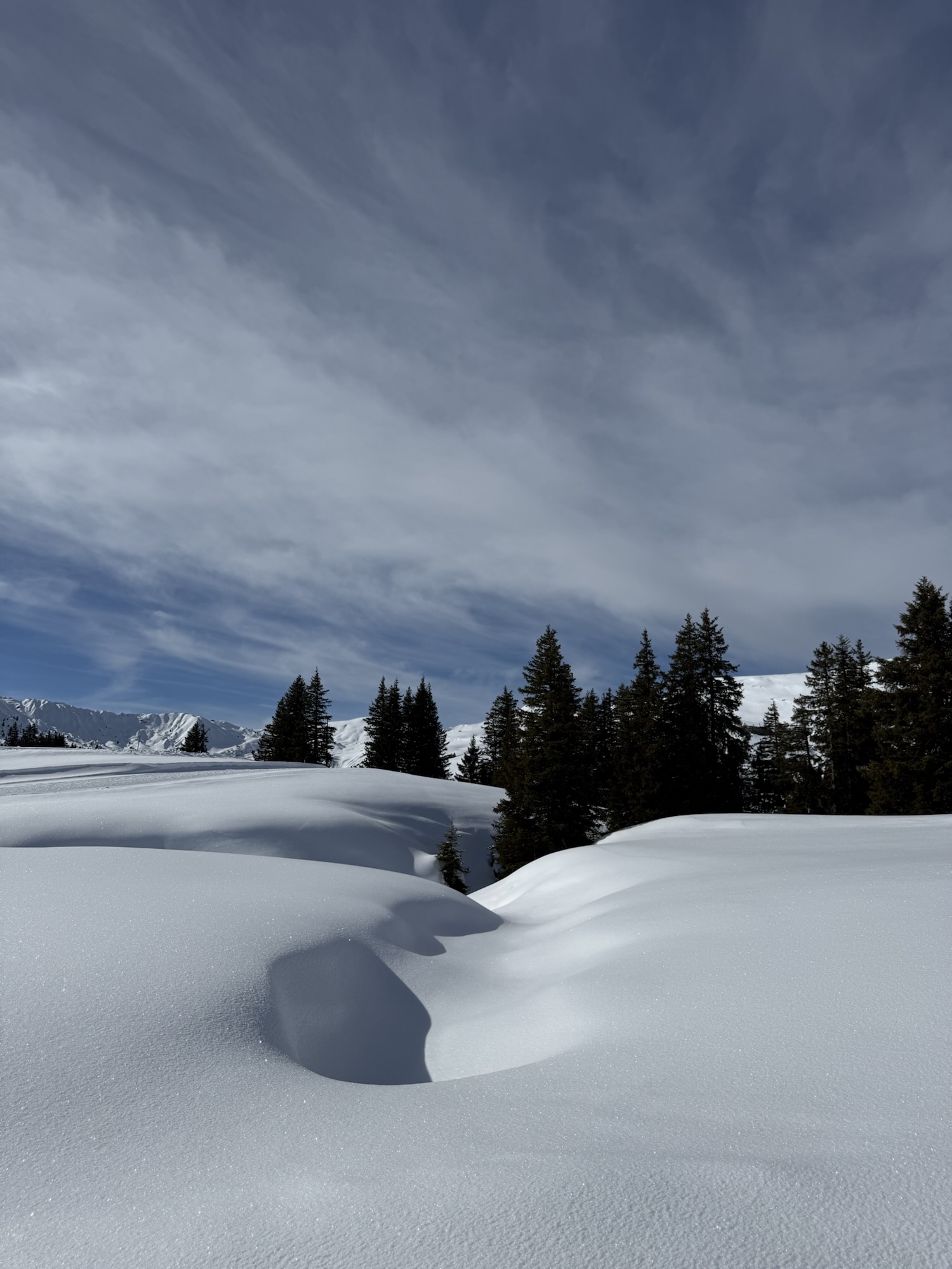 Winterlandschaft am Betelberg bei der Lenk mit verschneiten Hügeln und Tannen im Berner Oberland.