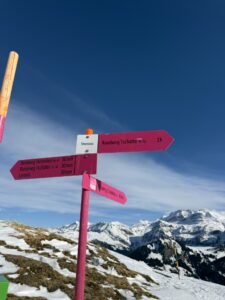 Pinkfarbener Wegweiser am Betelberg mit Beschilderung Rundweg Tschätte bei der Winterwanderung Lenk.