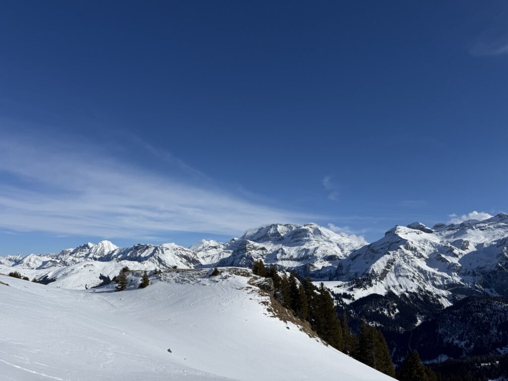 Panoramablick während der Winterwanderung an der Lenk mit Blick auf das verschneite Wildstrubel-Massiv.