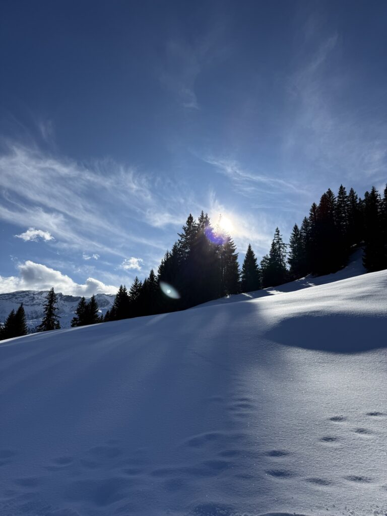 Sonnendurchflutete Winterlandschaft am Betelberg oberhalb der Lenk mit unberührtem Schnee und verschneiten Bergen.