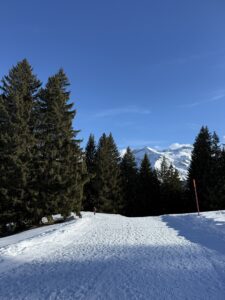 Winterwanderweg am Betelberg bei der Lenk mit verschneiten Tannen und Blick auf die Alpen im Berner Oberland.
