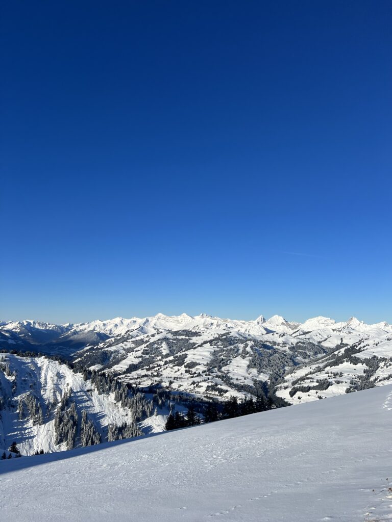 Weitläufiges Winterpanorama vom Rinderberg mit Hügeln, Wäldern und Gipfeln im Berner Oberland