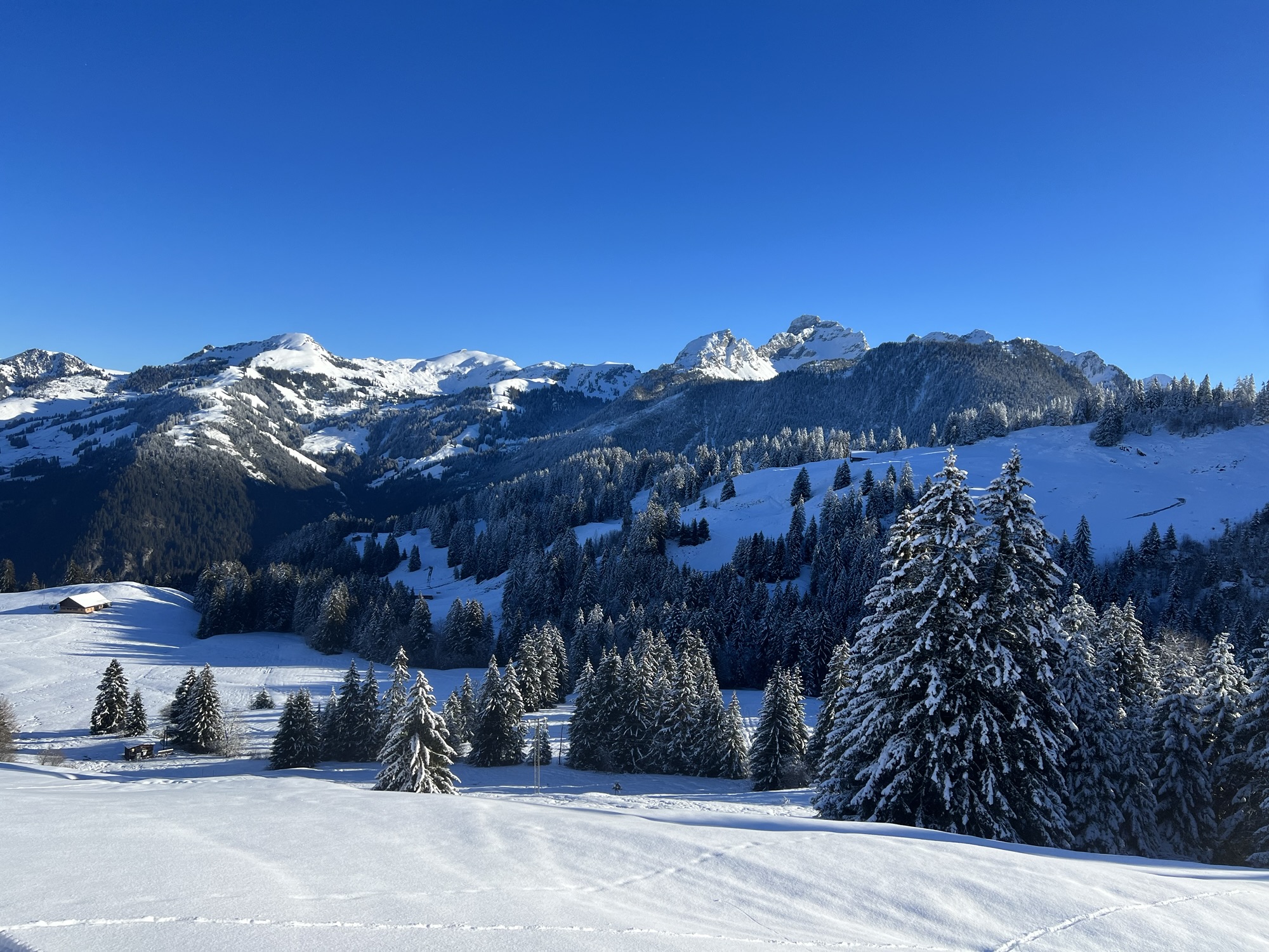 Winterpanorama vom Rinderberg mit verschneiten Hügeln, Tannen und Blick ins Simmental