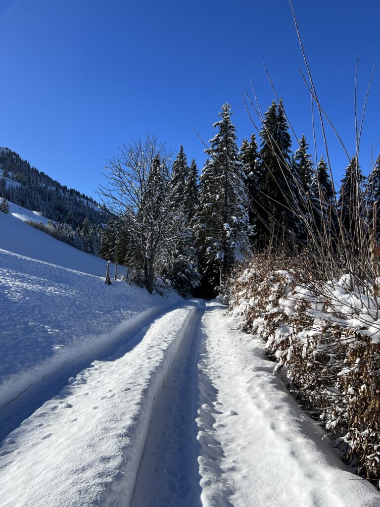 Verschneiter Forstweg im Winter auf dem Abstieg vom Rinderberg Richtung Saanenmöser