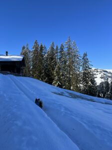 Hund auf Winterwanderung am Rinderberg, unterwegs auf verschneitem Hang mit Bergblick