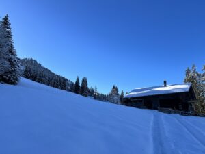 Winterwanderweg durch verschneiten Wald zwischen Rinderberg und Saanenmöser