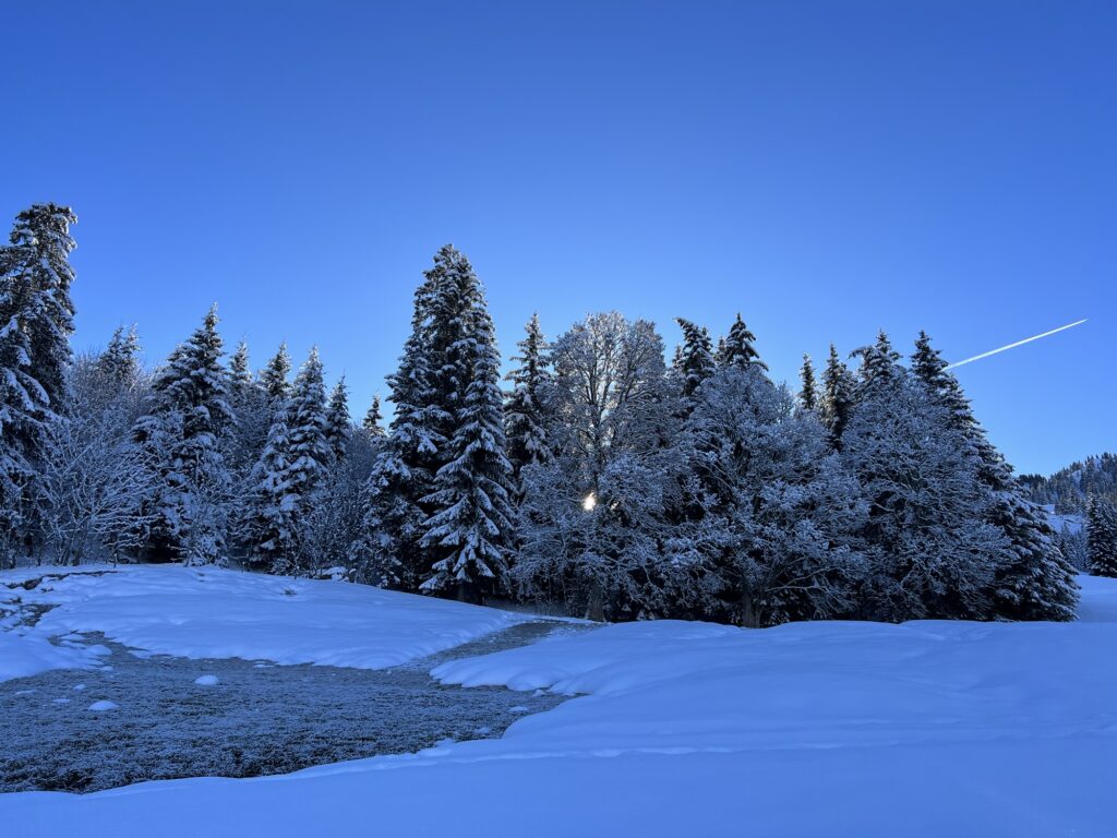 Winterlicher Waldweg mit frischem Schnee entlang der Route Richtung Saanenmöser