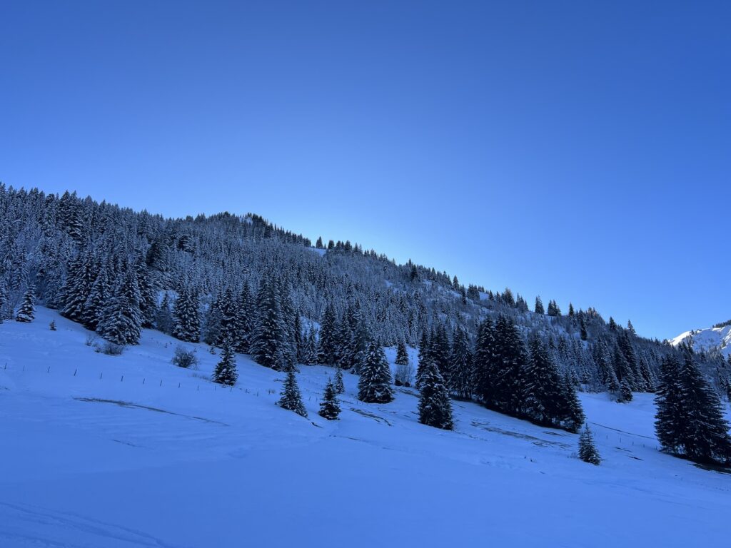Verschneiter Hang mit Tannenwald entlang der Winterwanderung vom Rinderberg nach Saanenmöser