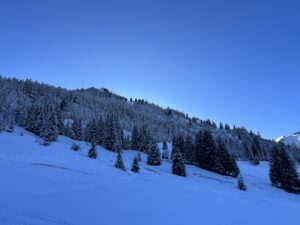 Verschneiter Hang mit Tannenwald entlang der Winterwanderung vom Rinderberg nach Saanenmöser