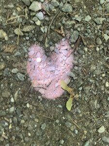 Sonnenlicht, das durch Blätter fällt, zeichnet ein herzförmiges Licht- und Schattenspiel auf einen Kiesweg – Liebe zeigt sich im Zusammenspiel von Licht und Natur.