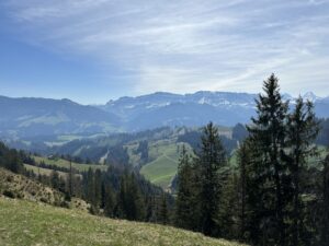 Grosses Krokusfeld auf der Rämmisgummen-Alp mit Panorama auf die Berner Voralpen – Frühlingswanderung in der Schweiz.