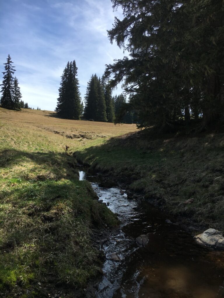 Kleiner Bach am Sparenmoos entlang der Wanderung im Berner Oberland