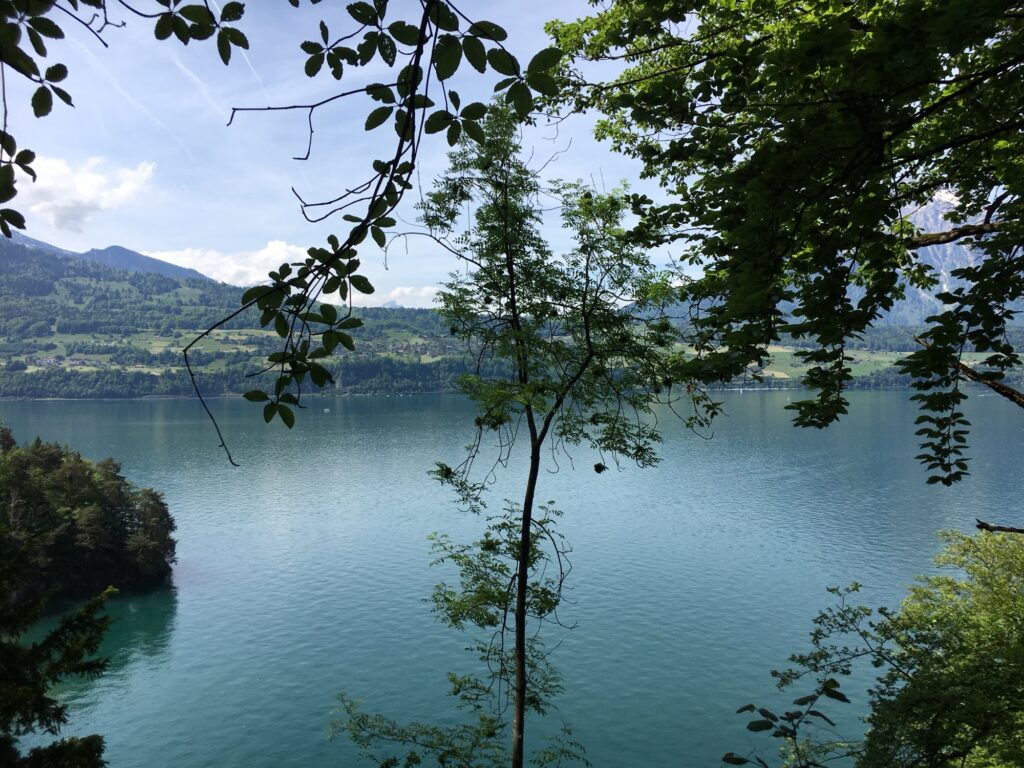 Aussicht durch Wald auf den Thunersee und die umliegenden Dörfer