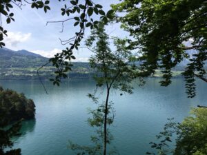Aussicht durch Wald auf den Thunersee und die umliegenden Dörfer