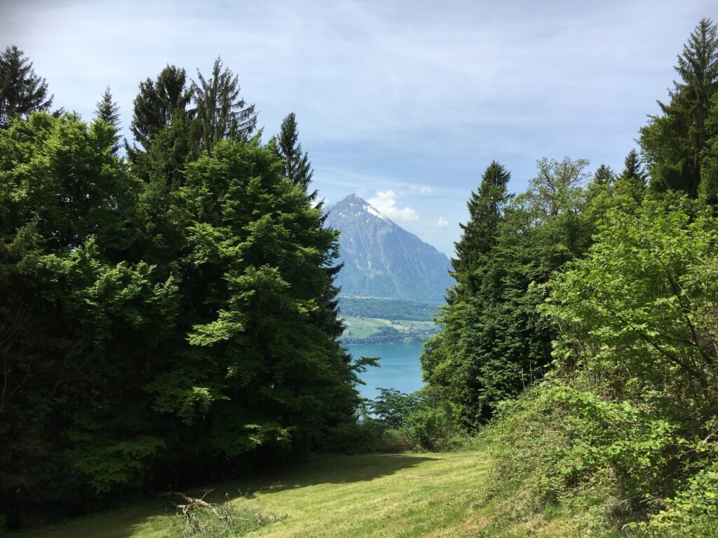Blick durch Bäume auf den Thunersee entlang des Wanderwegs Richtung Niederhorn