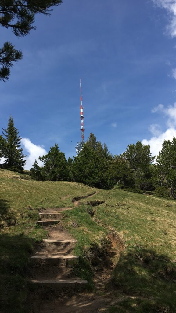 Wanderweg mit Stufen Richtung Niederhorn mit Blick auf den Sendemast