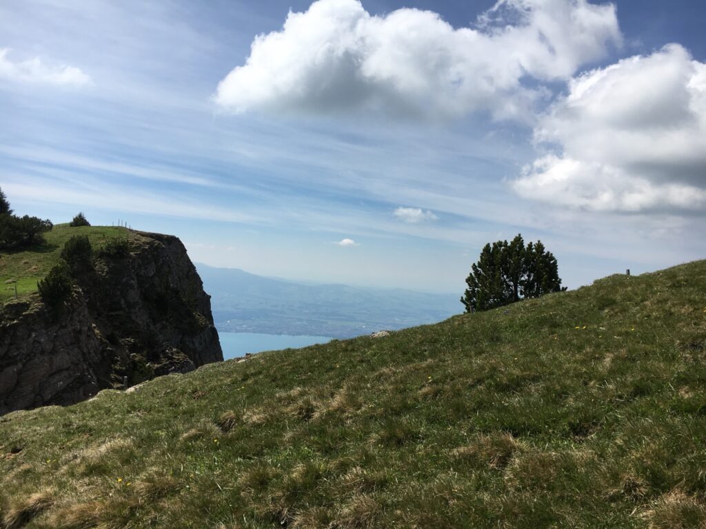 Grasiger Höhenzug mit Blick auf den Thunersee bei der Niederhorn Wanderung