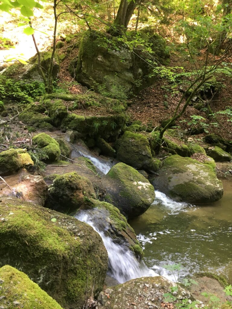 Ruhiger Bach im Wald entlang der Wanderung durch die Twannbachschlucht