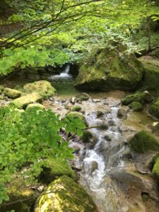 Klarer Bach zwischen moosigen Steinen in der Twannbachschlucht mit grünen Blättern im Vordergrund
